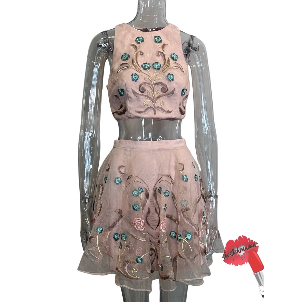 Bebe 2 Piece Set Women 4 Blush Pink Floral Embroidered Crop Top Skater Skirt NWT